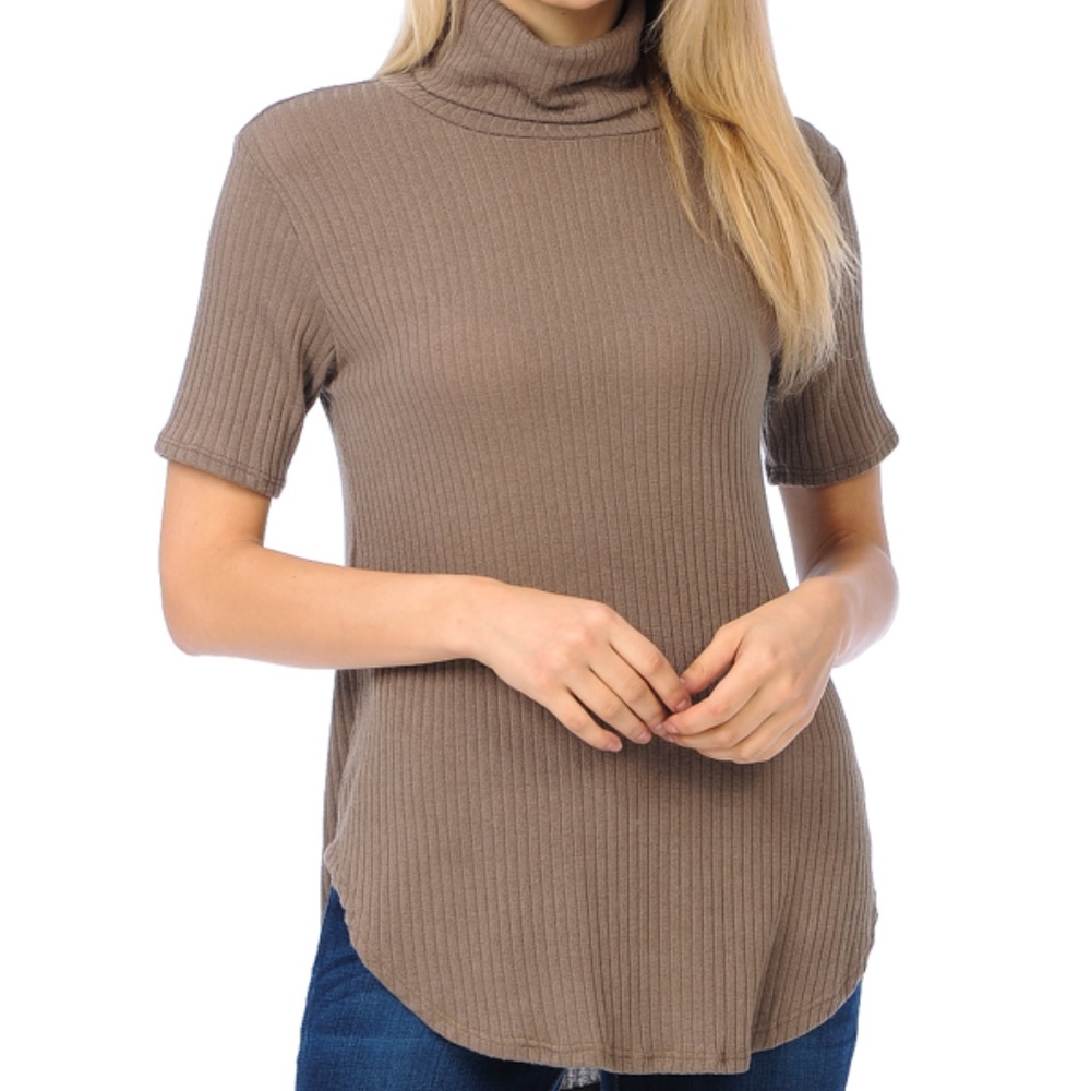 Taupe Turtleneck Short Sleeve with Curved Hem Top